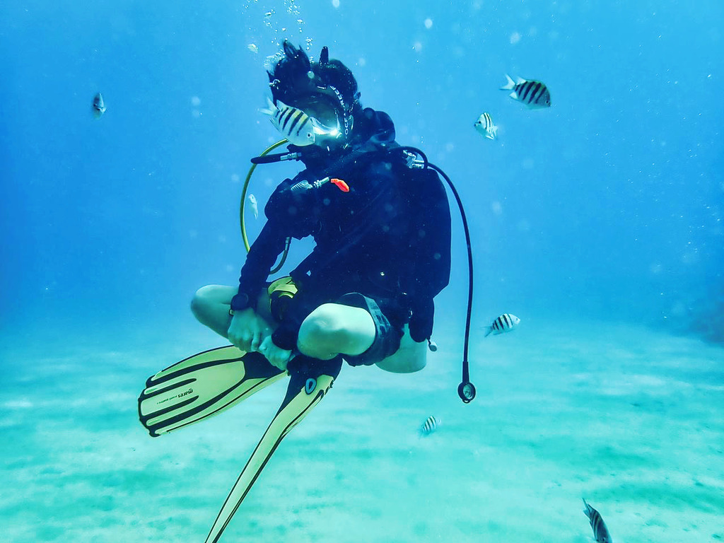 CEBA diver surrounded by fish