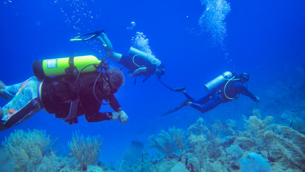 CEBA divers on the reef